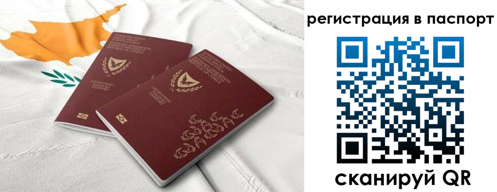 прописка штамп в Михайловке